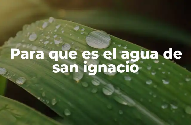 Para que es el Agua de San Ignacio