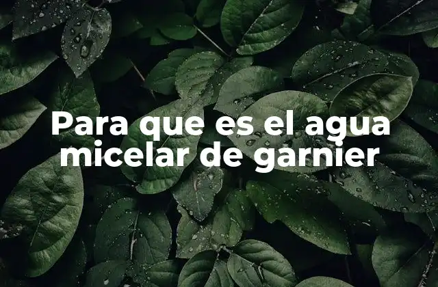 Para que es el Agua Micelar de Garnier