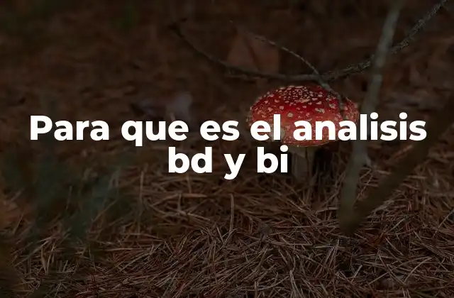 Para que es el Analisis Bd y Bi