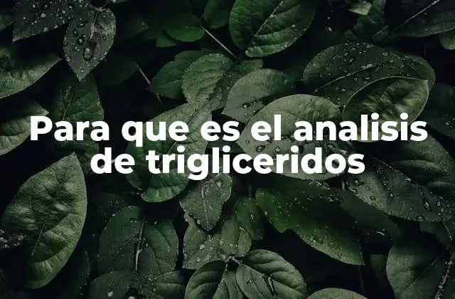 Para que es el Analisis de Trigliceridos