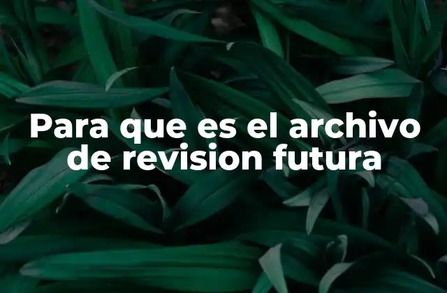 Para que es el Archivo de Revision Futura