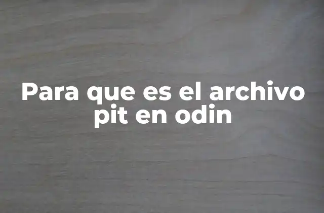 Para que es el Archivo Pit en Odin