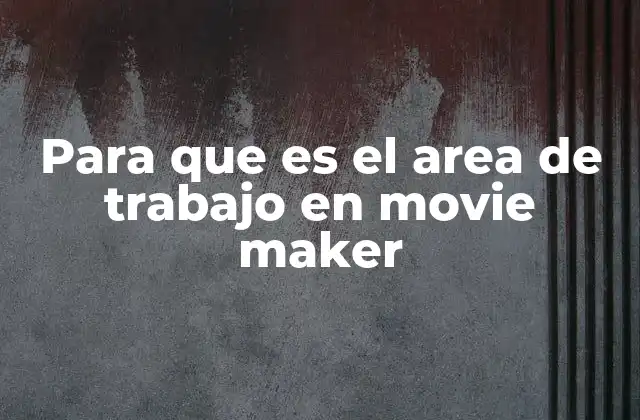 Para que es el Area de Trabajo en Movie Maker