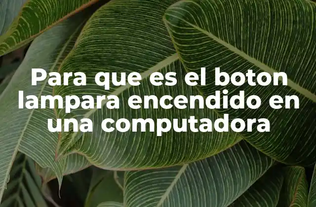Para que es el Boton Lampara Encendido en una Computadora 2 Cómo interactúa la iluminación del teclado con el sistema operativo