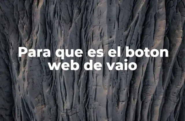 Para que es el Boton Web de Vaio