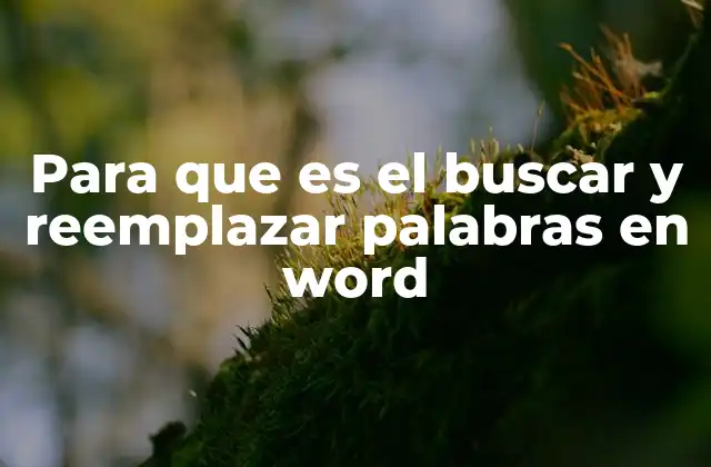 Para que es el Buscar y Reemplazar Palabras en Word