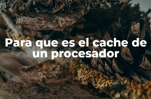 Para que es el Cache de un Procesador