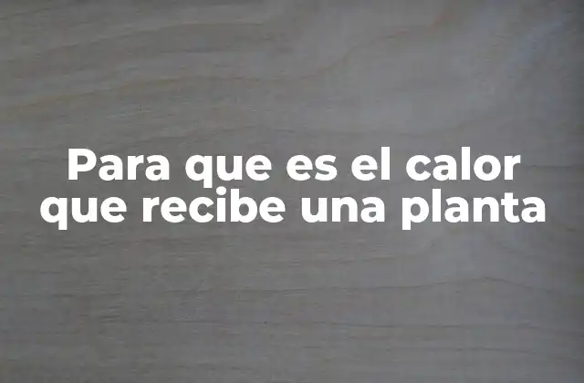 Para que es el Calor que Recibe una Planta 2 El equilibrio térmico entre la luz solar y la vegetación
