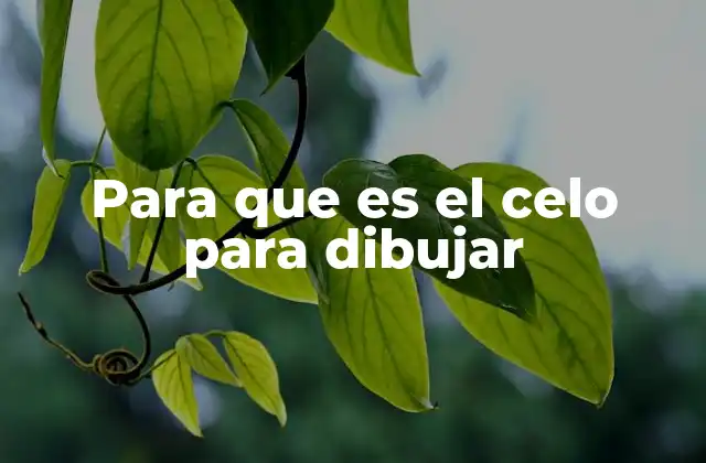 Para que es el Celo para Dibujar