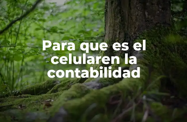 Para que es el Celularen la Contabilidad