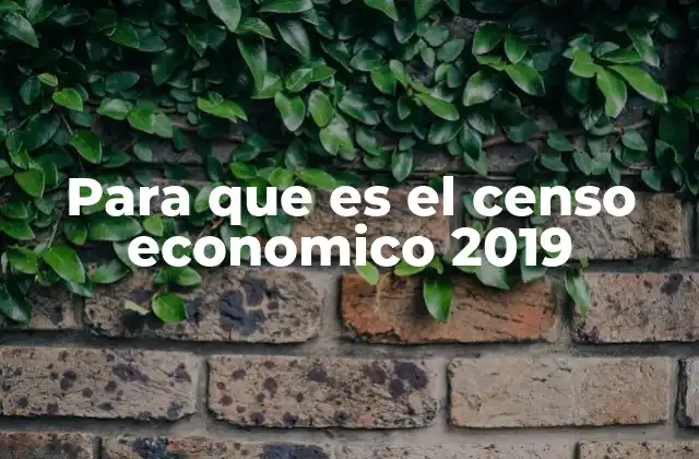 Para que es el Censo Economico 2019