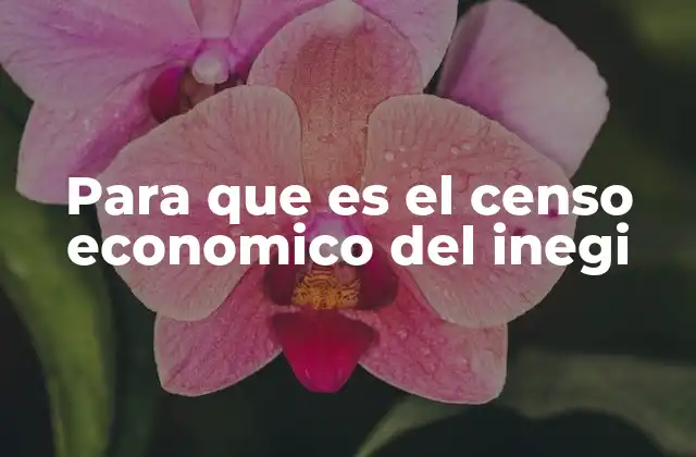 Para que es el Censo Economico Del Inegi