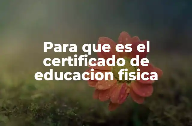Para que es el Certificado de Educacion Fisica
