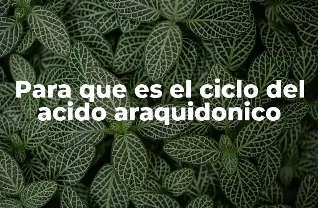 Para que es el Ciclo Del Acido Araquidonico