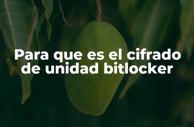 Para que es el Cifrado de Unidad Bitlocker