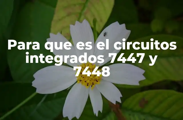 Funcionamiento y características principales de los 7447 y 7448