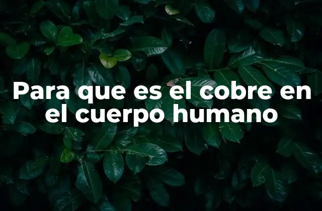 Para que es el Cobre en el Cuerpo Humano 2 El cobre y su importancia en la salud celular