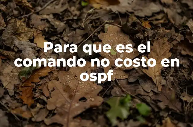 Para que es el Comando No Costo en Ospf