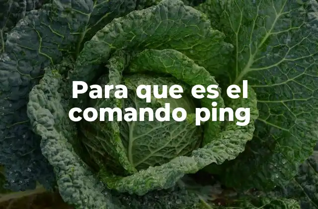 Cómo funciona el comando ping en una red informática