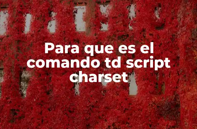 Para que es el Comando Td Script Charset