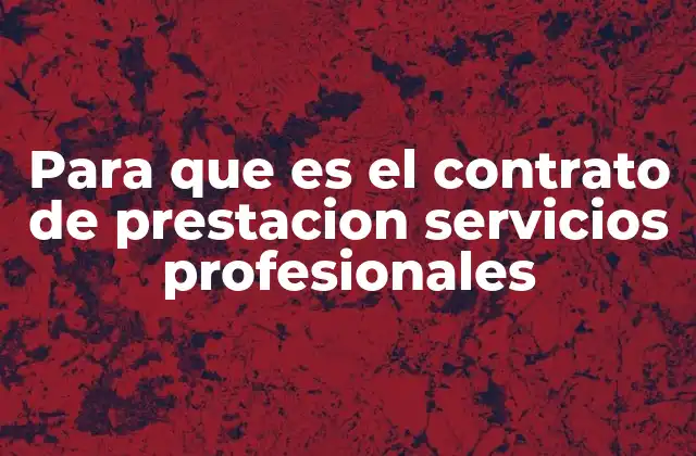 Cómo garantizar una relación clara entre empresa y profesional independiente