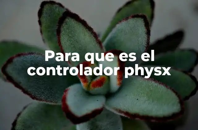 Para que es el Controlador Physx