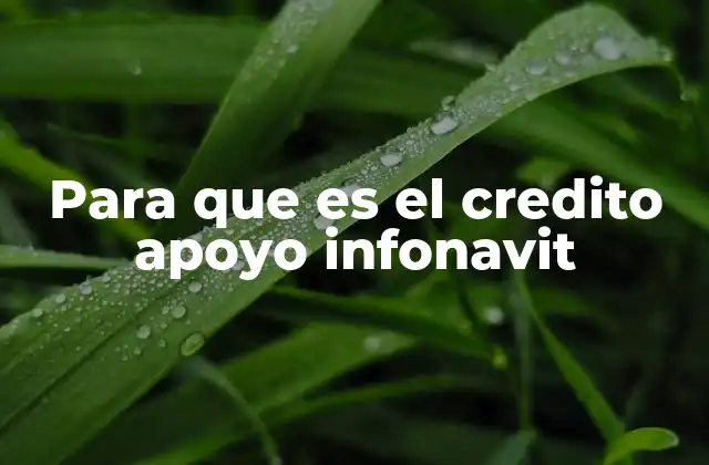 Para que es el Credito Apoyo Infonavit