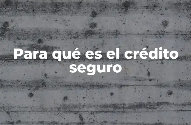 Para Qué es el Crédito Seguro