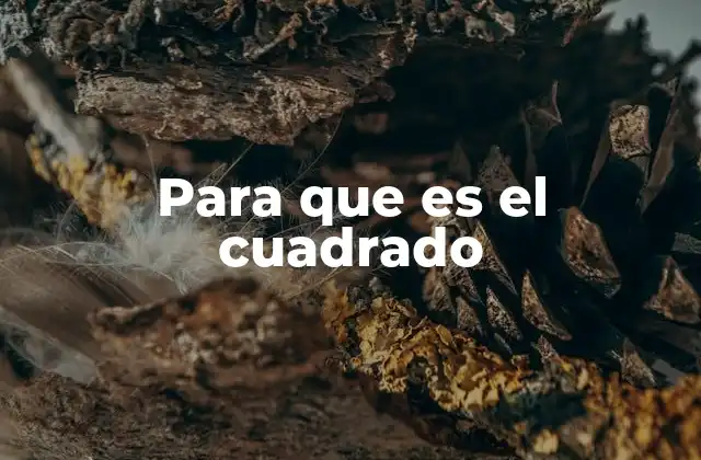 Para que es el Cuadrado