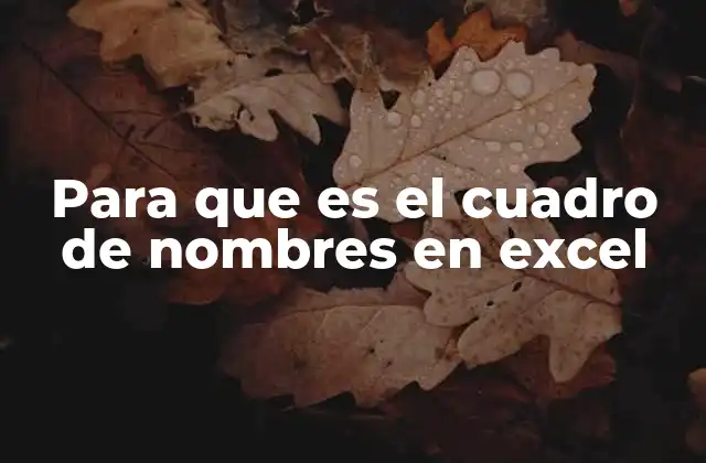 Para que es el Cuadro de Nombres en Excel