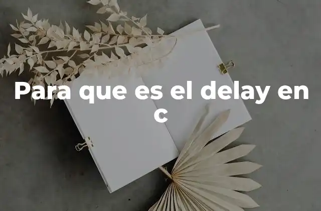 Para que es el Delay en C