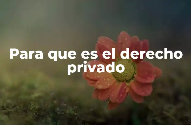 Para que es el Derecho Privado