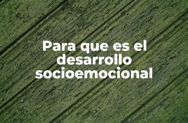 Para que es el Desarrollo Socioemocional