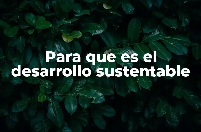 Para que es el Desarrollo Sustentable