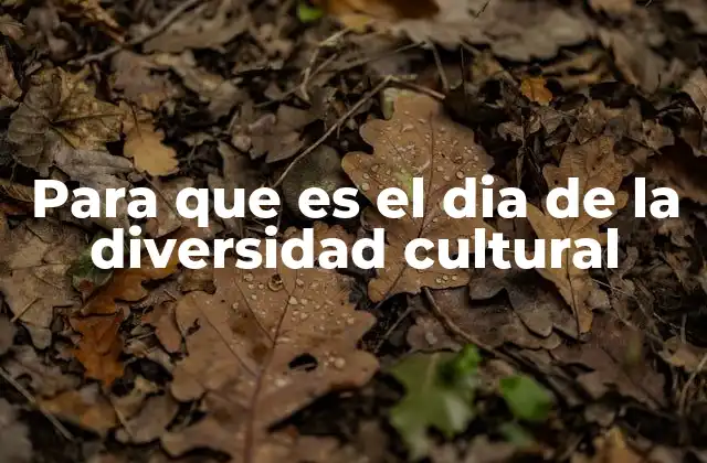 Para que es el Dia de la Diversidad Cultural 2 La importancia de reconocer y celebrar las diferencias
