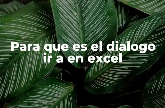 Para que es el Dialogo Ir a en Excel