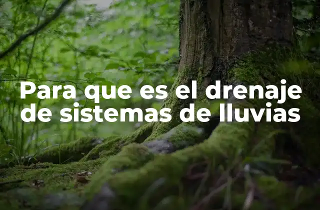 Para que es el Drenaje de Sistemas de Lluvias