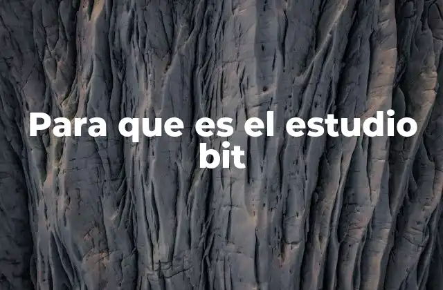 Para que es el Estudio Bit