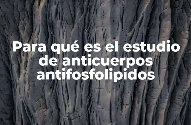 Para Qué es el Estudio de Anticuerpos Antifosfolipidos