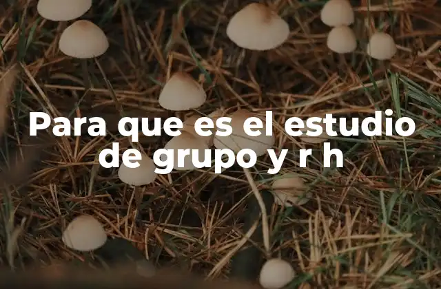 La importancia de la dinámica grupal en el desarrollo organizacional