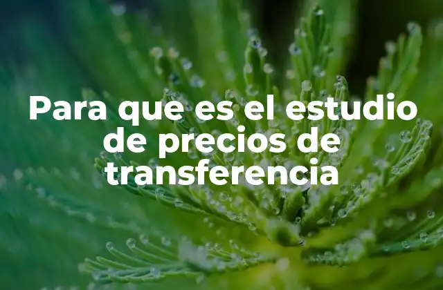 Para que es el Estudio de Precios de Transferencia