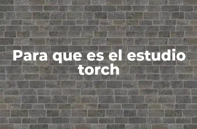 Para que es el Estudio Torch 2 La importancia de la imagen funcional en diagnósticos complejos