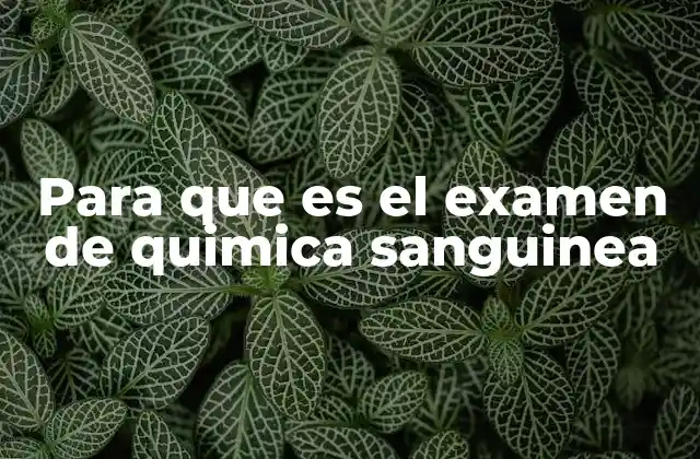 Cómo se interpreta un examen de química sanguínea