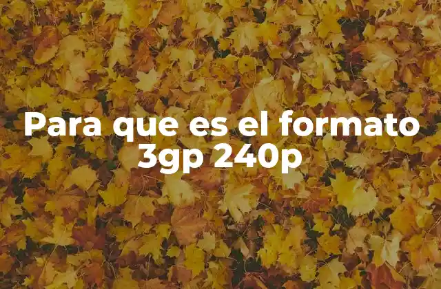 Para que es el Formato 3gp 240p