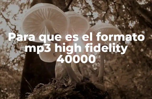 Para que es el Formato Mp3 High Fidelity 40000