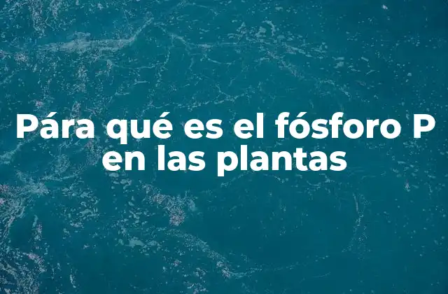 Pára Qué es el Fósforo P en las Plantas