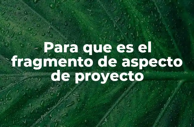 Para que es el Fragmento de Aspecto de Proyecto