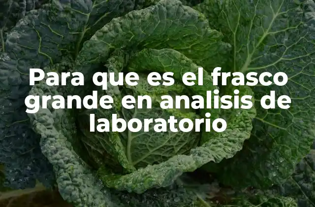 Para que es el Frasco Grande en Analisis de Laboratorio