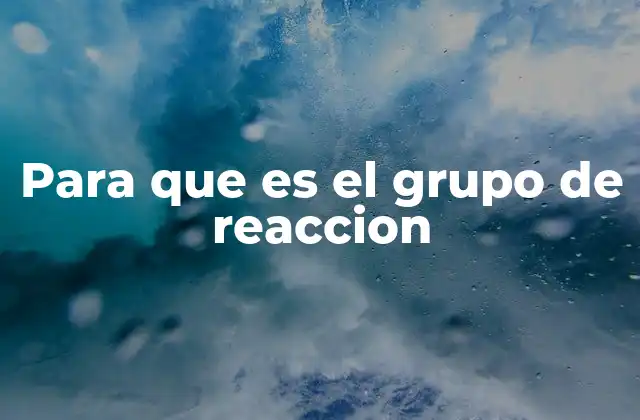 Para que es el Grupo de Reaccion