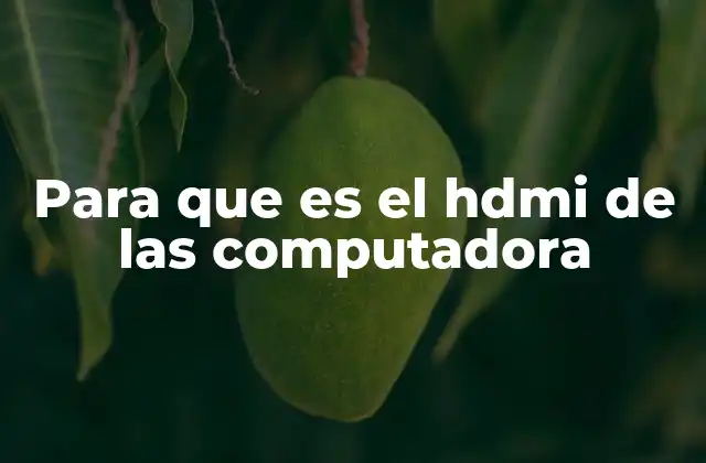 Para que es el Hdmi de las Computadora